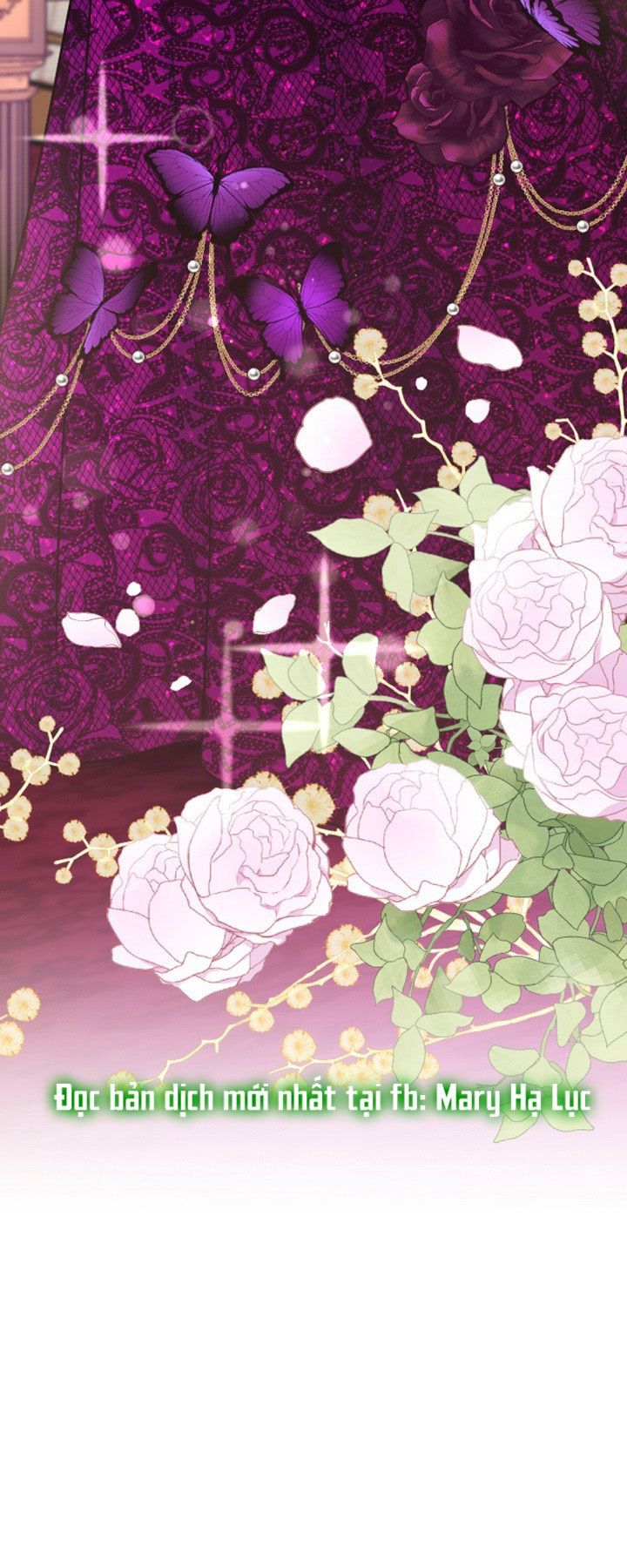 Tôi Sẽ Bị Trừ Khử Cùng Hoàng Đế Chương 18.2 page 30 - Giả Dược