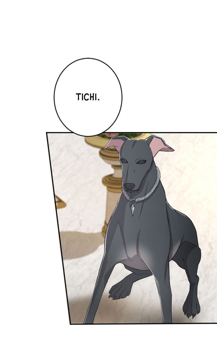 Tôi Sẽ Bị Trừ Khử Cùng Hoàng Đế Chương 33.1 page 12 - Giả Dược