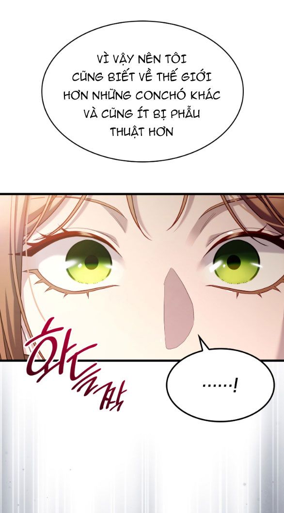 Tôi Sẽ Biến Anh Ta Từ Một Con Chó Điên Thành Một Chàng Quý Tộc Chương 21 page 66 - Giả Dược