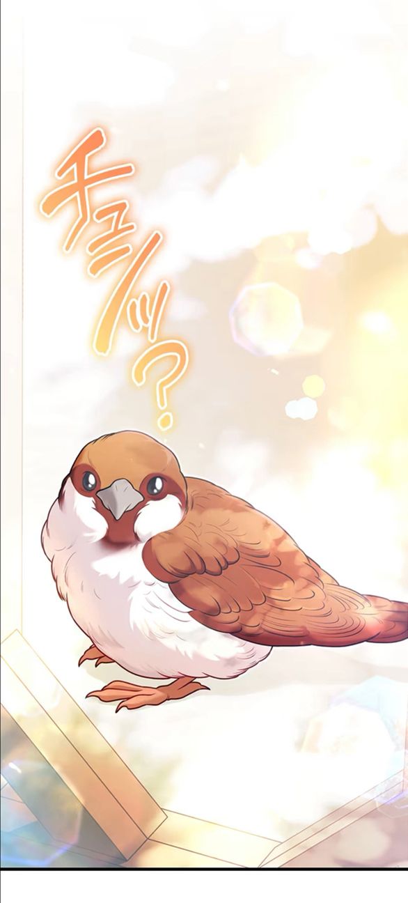 Tôi Sẽ Biến Anh Ta Từ Một Con Chó Điên Thành Một Chàng Quý Tộc Chương 9 page 44 - Giả Dược