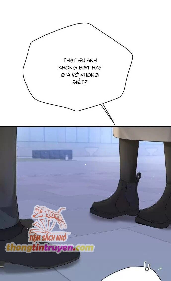 Tôi Sẽ Cho Anh Thứ Tồi Tệ Nhất Chương 17 page 25 - Giả Dược