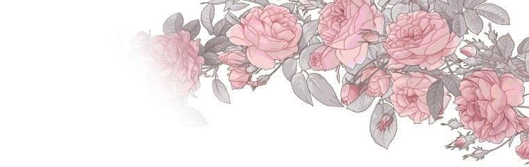 đọc truyện Tôi Sẽ Cứu Lấy Nam Chính Tiểu Thuyết Bl Chương 21.5 ảnh 27 tại Thiên Thai Truyện