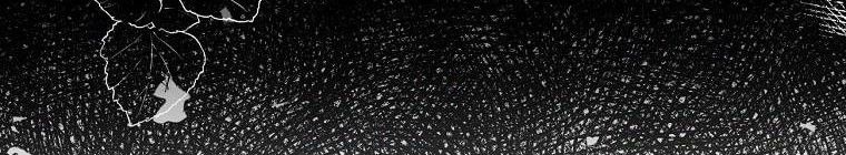 đọc truyện Tôi Sẽ Cứu Lấy Nam Chính Tiểu Thuyết Bl Chương 22 ảnh 388 tại Thiên Thai Truyện