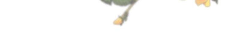 đọc truyện Tôi Sẽ Cứu Lấy Nam Chính Tiểu Thuyết Bl Chương 23.5 ảnh 286 tại Thiên Thai Truyện