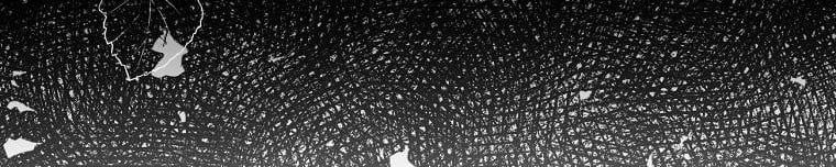 đọc truyện Tôi Sẽ Cứu Lấy Nam Chính Tiểu Thuyết Bl Chương 23 ảnh 34 tại Thiên Thai Truyện