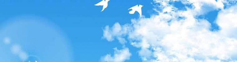 đọc truyện Tôi Sẽ Cứu Lấy Nam Chính Tiểu Thuyết Bl Chương 24 ảnh 175 tại Thiên Thai Truyện