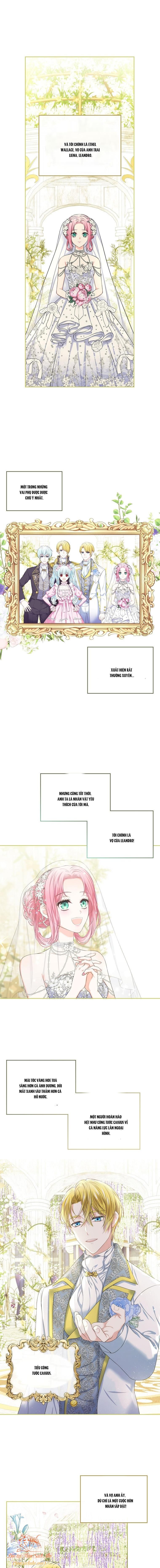 Tôi Sẽ Ly Hôn Với Anh Trai Nữ Chính Chương 1 page 11 - Giả Dược