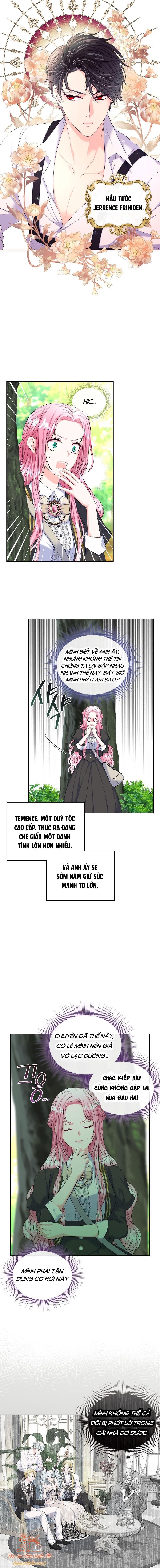 Tôi Sẽ Ly Hôn Với Anh Trai Nữ Chính Chương 5 page 10 - Giả Dược