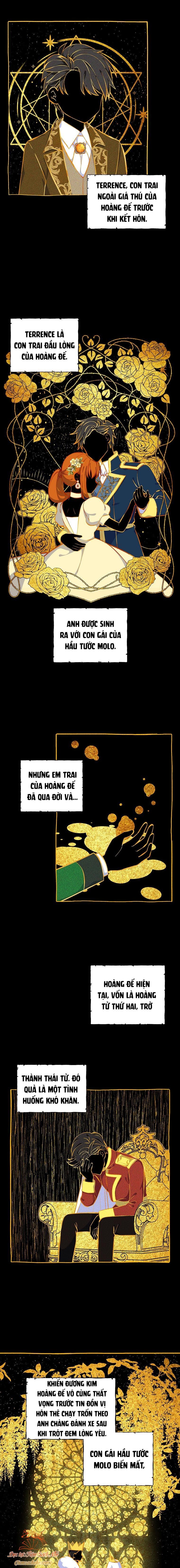 Tôi Sẽ Ly Hôn Với Anh Trai Nữ Chính Chương 6 page 17 - Giả Dược