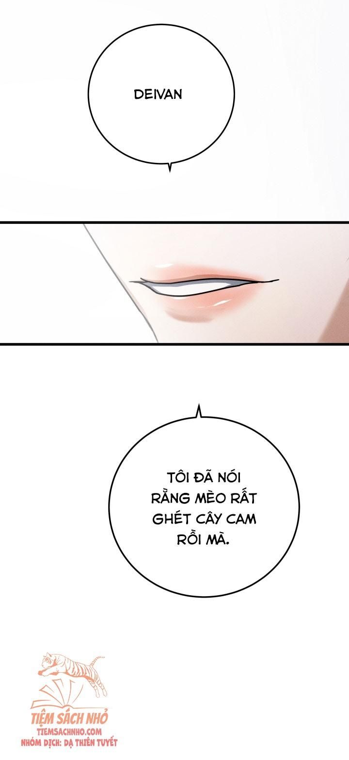  Tôi Sẽ Phá Vỡ Cuộc Hôn Nhân Này Chương 22 page 27 - Giả Dược