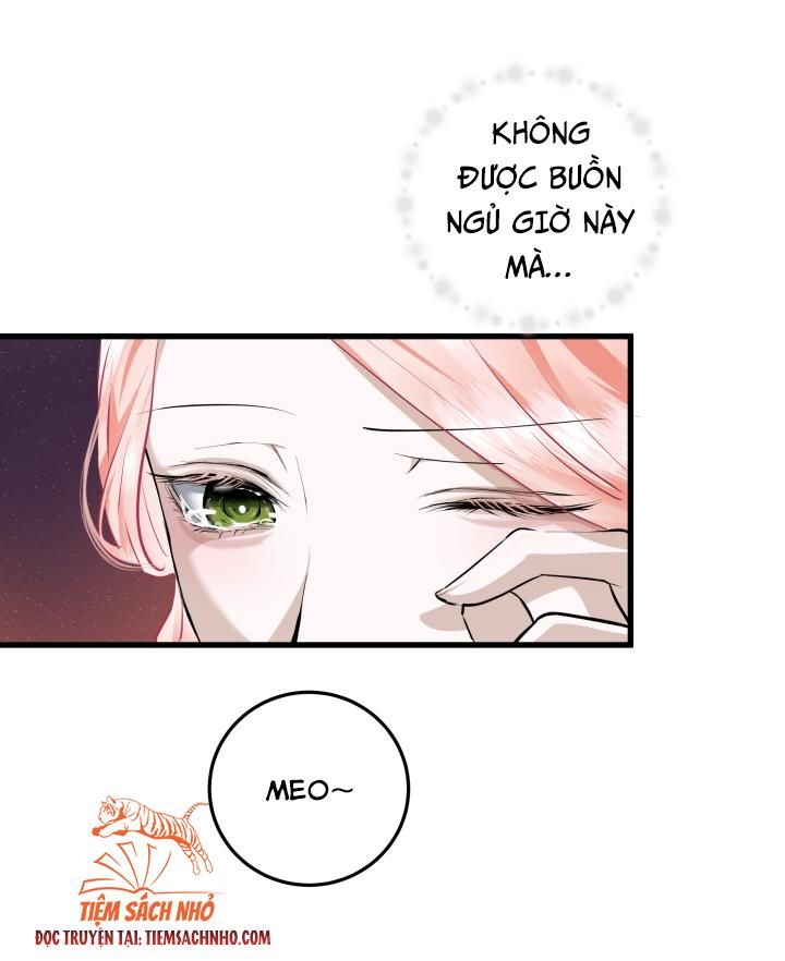  Tôi Sẽ Phá Vỡ Cuộc Hôn Nhân Này Chương 26 page 12 - Giả Dược