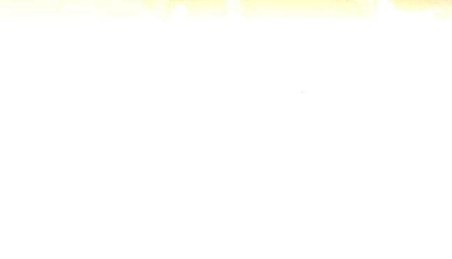 Tôi Sẽ Quyến Rũ Công Tước Phương Bắc Chương 11 page 82 - Giả Dược