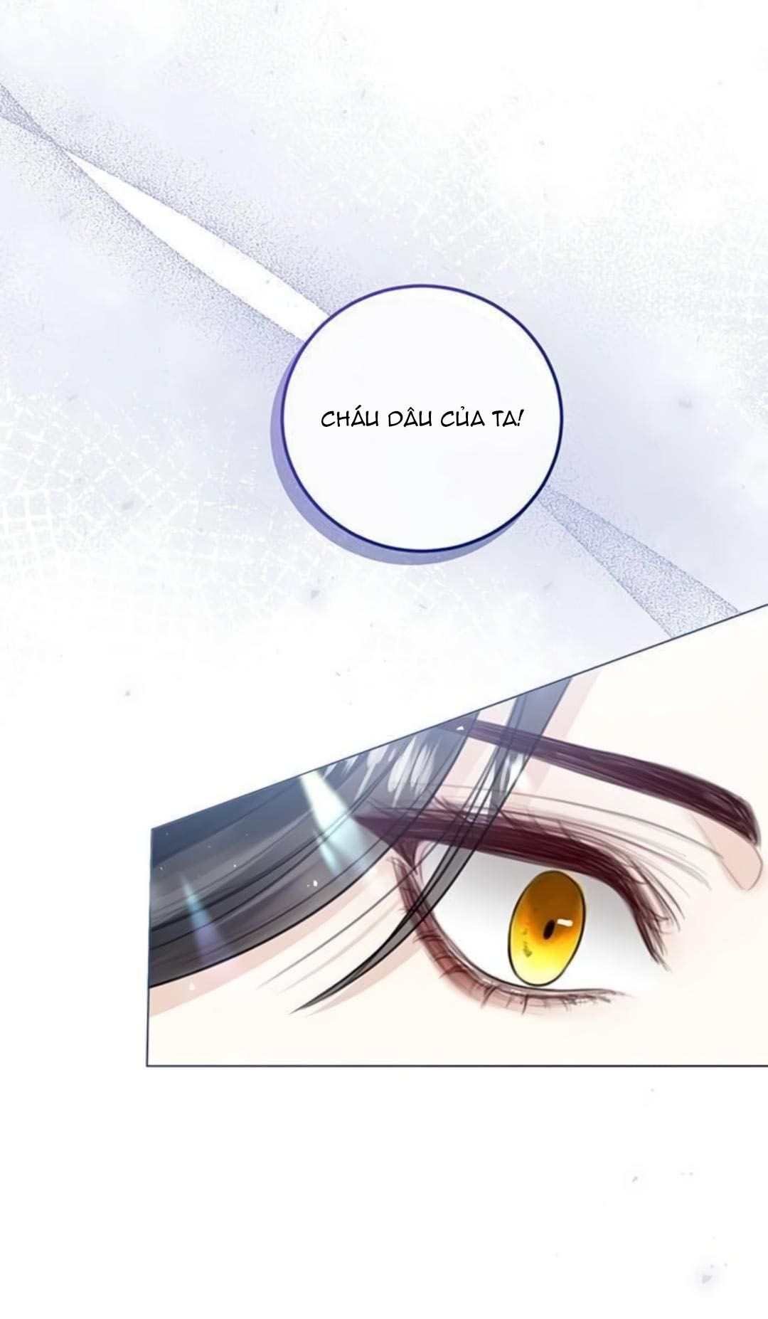 Tôi Sẽ Từ Bỏ Vị Trí Hoàng Hậu Chương 10.2 page 33 - Giả Dược