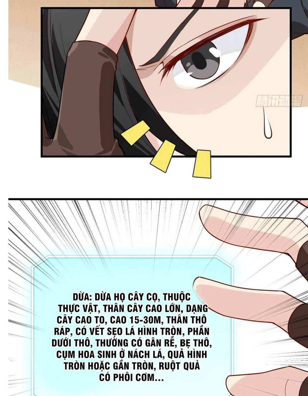 đọc truyện Tôi Sống Trên Hoang Đảo Cùng Các Em Gái Chương 0 ảnh 7 tại Thiên Thai Truyện