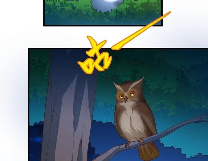 đọc truyện Tôi Sống Trên Hoang Đảo Cùng Các Em Gái Chương 13 ảnh 40 tại Thiên Thai Truyện