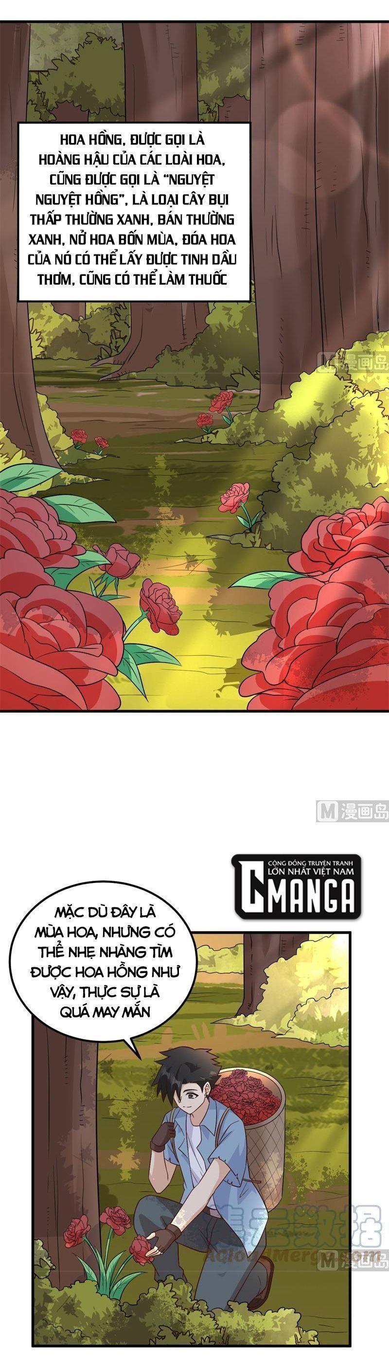 đọc truyện Tôi Sống Trên Hoang Đảo Cùng Các Em Gái Chương 138 ảnh 11 tại Thiên Thai Truyện