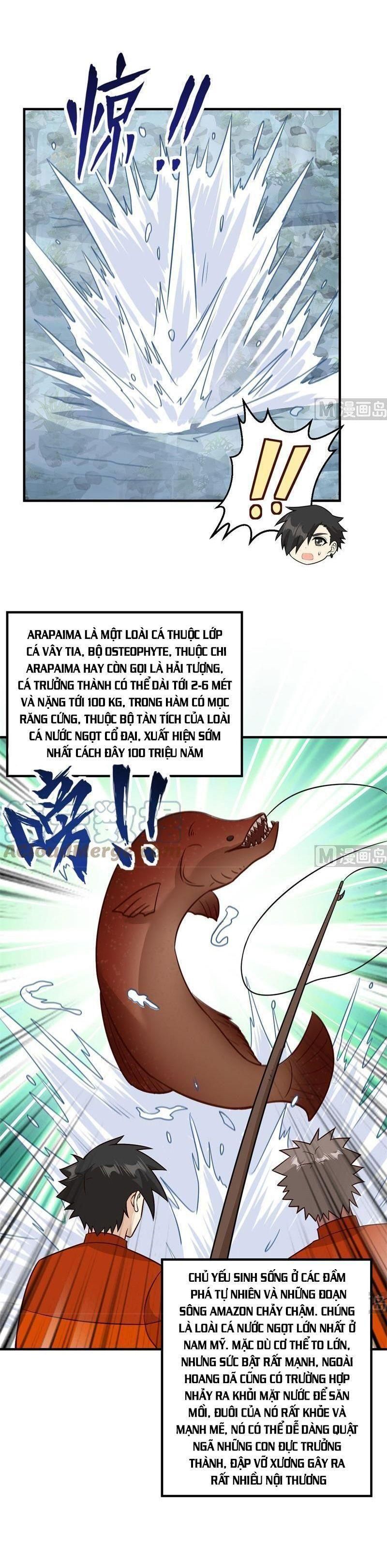 đọc truyện Tôi Sống Trên Hoang Đảo Cùng Các Em Gái Chương 162 ảnh 13 tại Thiên Thai Truyện