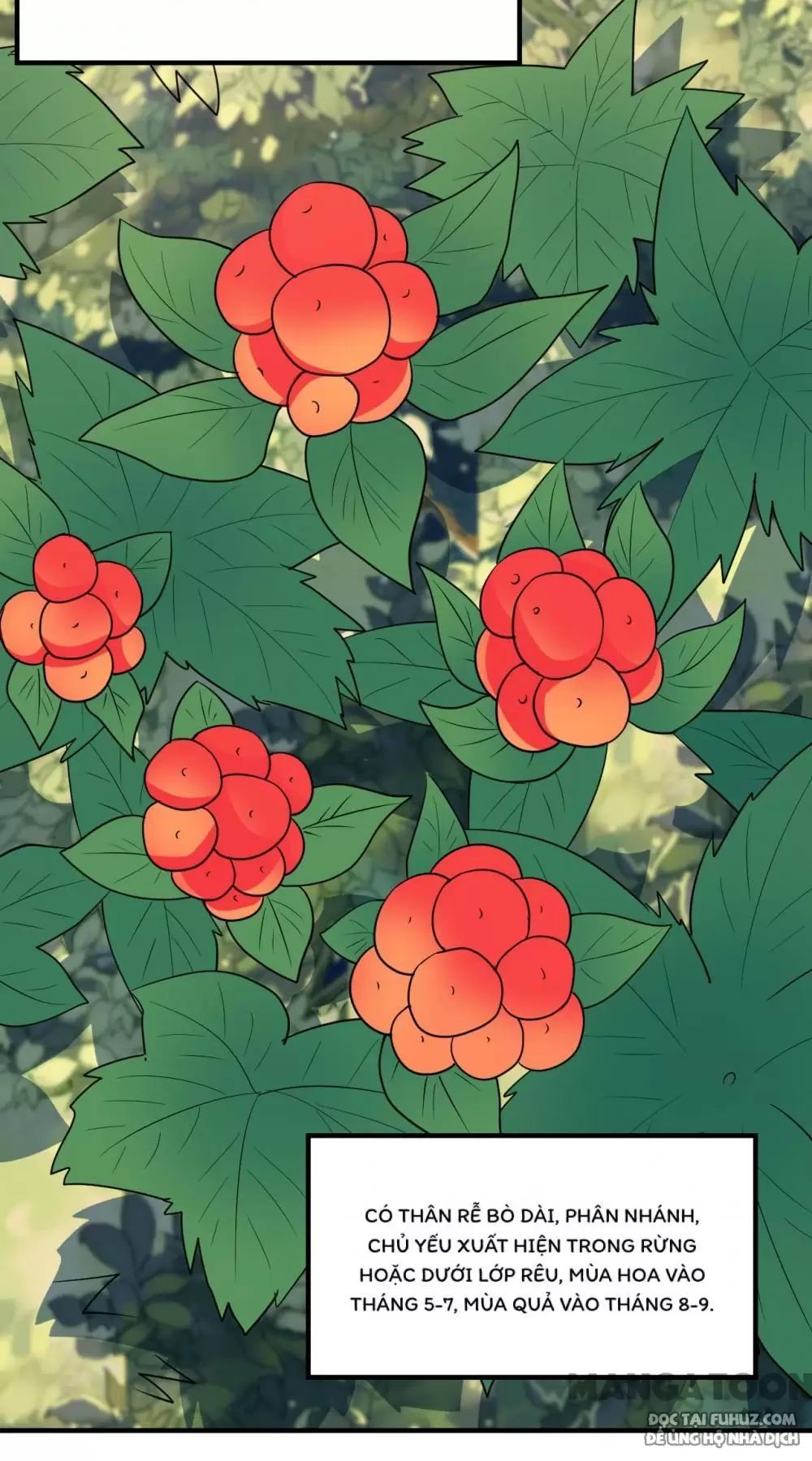 đọc truyện Tôi Sống Trên Hoang Đảo Cùng Các Em Gái Chương 232 ảnh 14 tại Thiên Thai Truyện