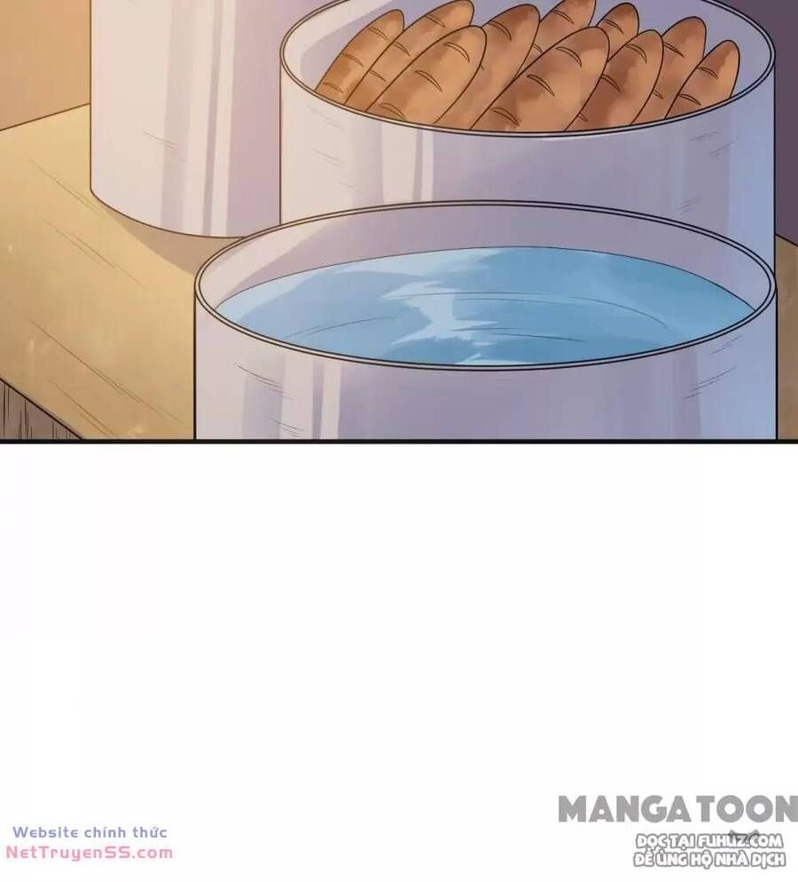 đọc truyện Tôi Sống Trên Hoang Đảo Cùng Các Em Gái Chương 257 ảnh 22 tại Thiên Thai Truyện