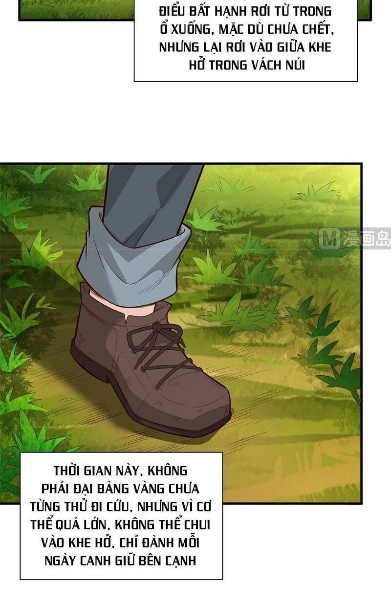 đọc truyện Tôi Sống Trên Hoang Đảo Cùng Các Em Gái Chương 49 ảnh 16 tại Thiên Thai Truyện