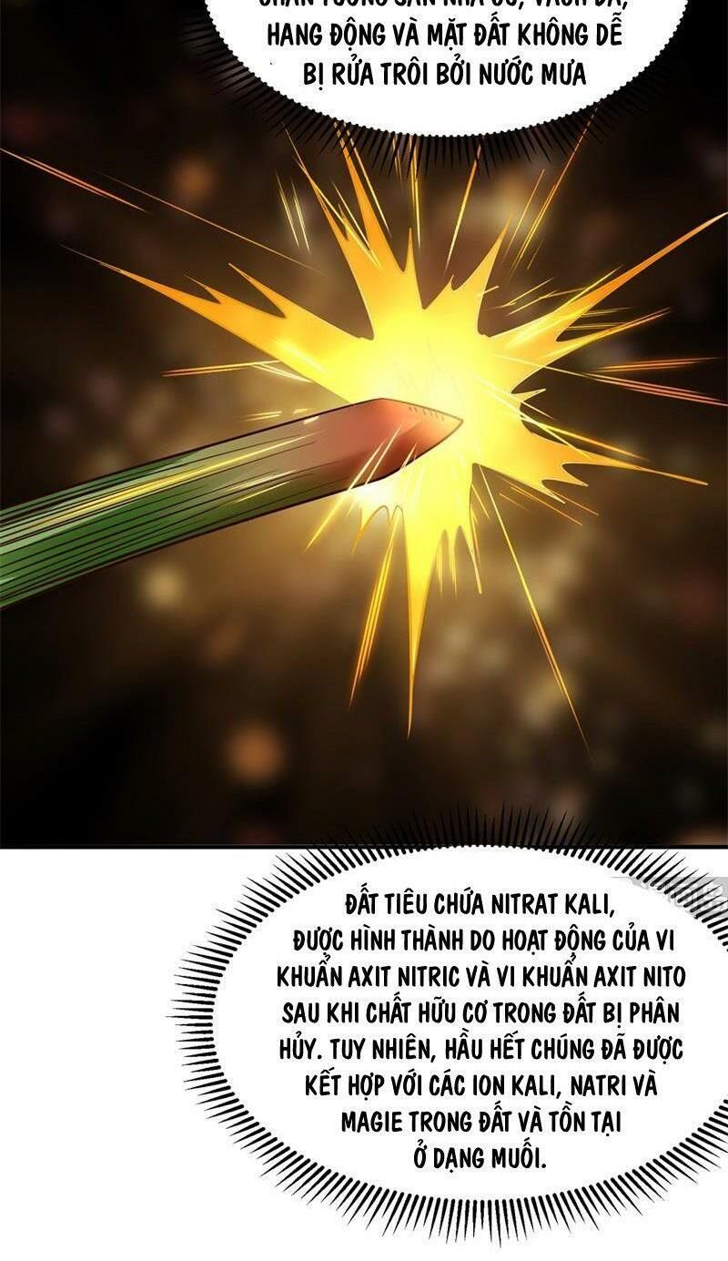 đọc truyện Tôi Sống Trên Hoang Đảo Cùng Các Em Gái Chương 58 ảnh 32 tại Thiên Thai Truyện