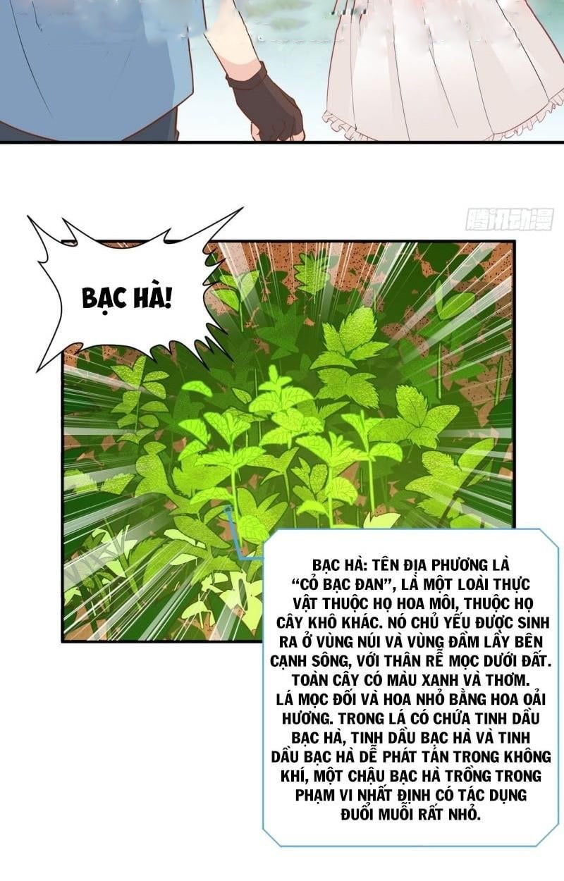 đọc truyện Tôi Sống Trên Hoang Đảo Cùng Các Em Gái Chương 9 ảnh 7 tại Thiên Thai Truyện