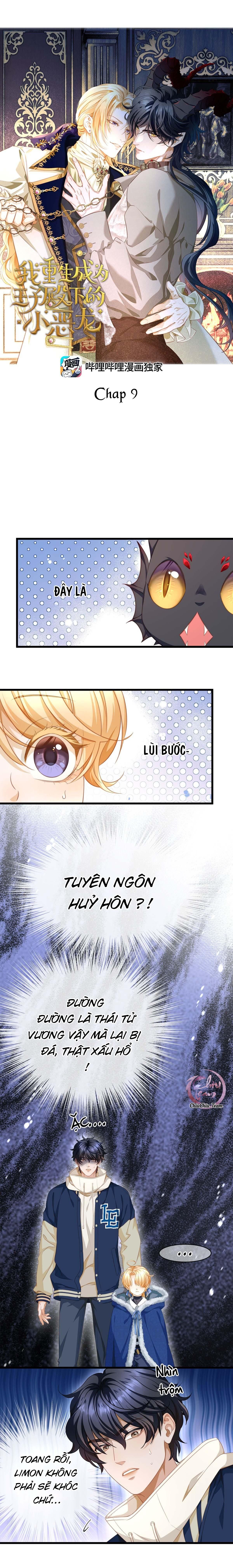 đọc truyện Tôi Tái Sinh Thành Tiểu Ác Long Của Hoàng Tử Điện Hạ Chương 9 ảnh 1 tại Giả Dược