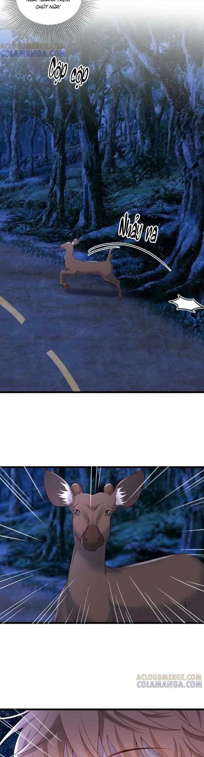 đọc truyện Tôi Tái Sinh Thành Tiểu Ác Long Của Hoàng Tử Điện Hạ Chương 99 ảnh 5 tại Thiên Thai Truyện