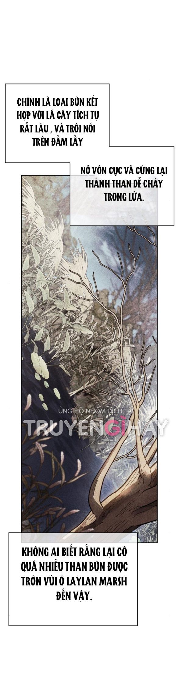 Tôi Thuần Hóa Chó Điên Của Chồng Cũ Chương 11.2 page 25 - Giả Dược