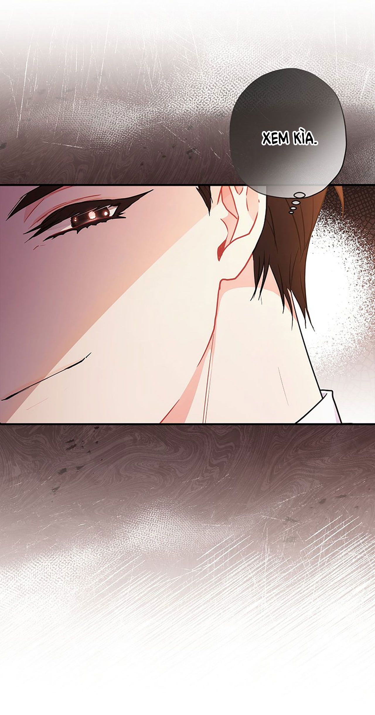 Tôi Trở Thành Con Gái Nuôi Của Nam Chính! Chương 70.1 page 13 - Giả Dược