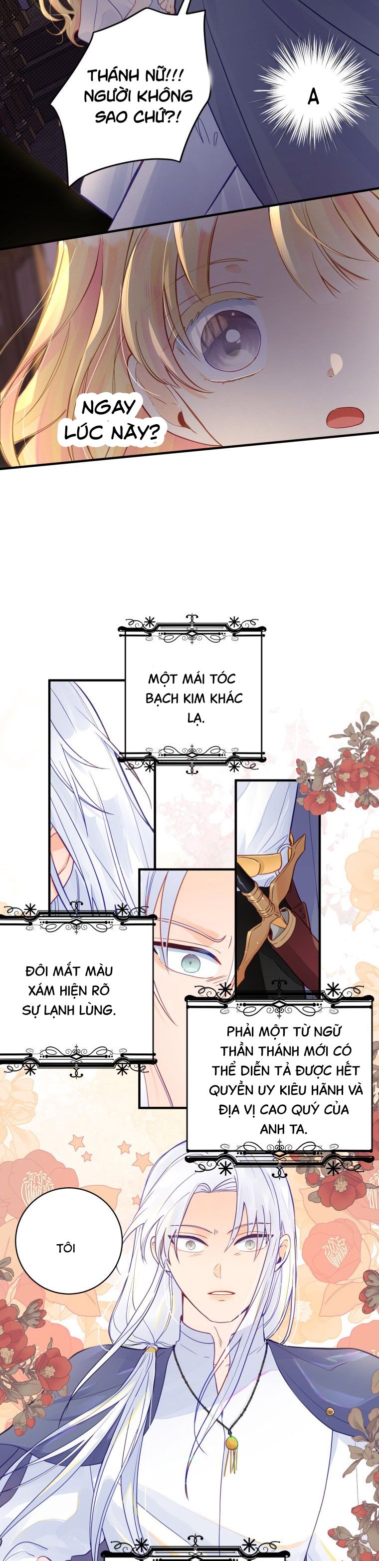 Tôi Trở Thành Công Nương Vì Không Biết Gì Về Thế Giới Này Chương 2 page 35 - Giả Dược