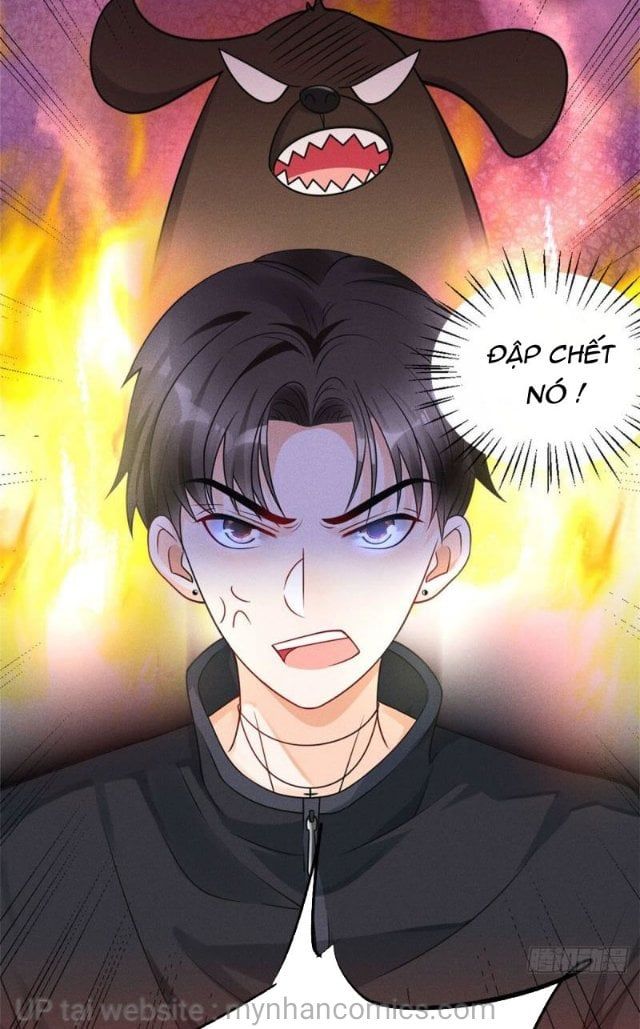 đọc truyện Tôi Trở Thành Tổ Tông Của 5 Trùm Xã Hội Đen Chương 20 ảnh 7 tại Thiên Thai Truyện