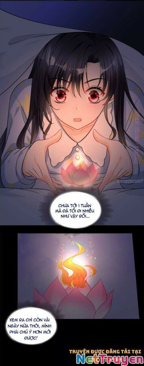 đọc truyện Tôi Trở Thành Tổ Tông Của 5 Trùm Xã Hội Đen Chương 64 ảnh 16 tại Thiên Thai Truyện