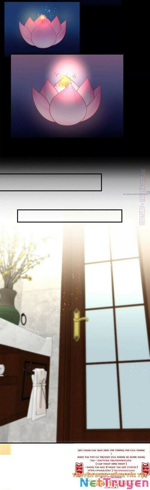 đọc truyện Tôi Trở Thành Tổ Tông Của 5 Trùm Xã Hội Đen Chương 64 ảnh 18 tại Thiên Thai Truyện