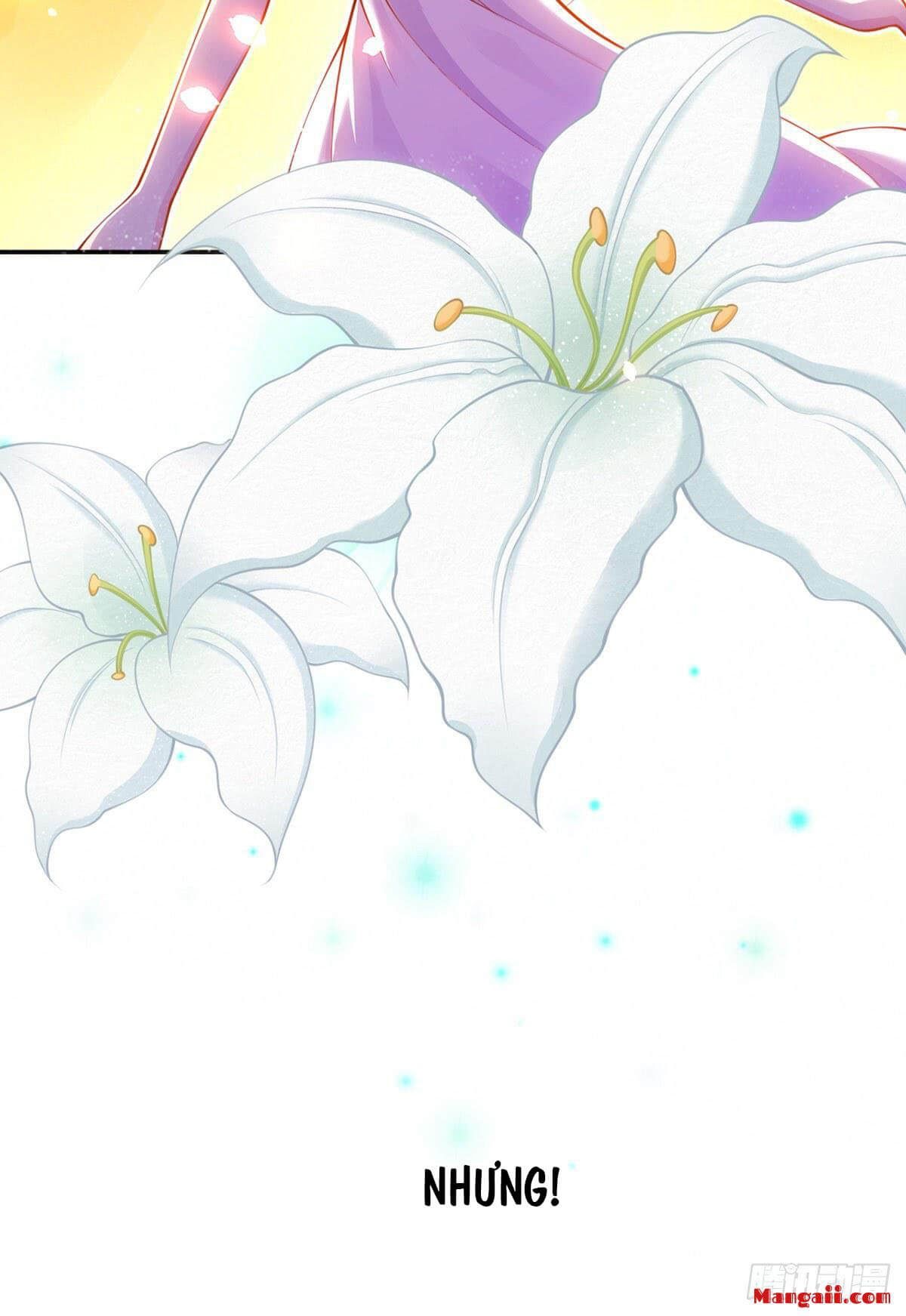 đọc truyện Tôi Xuyên Thành Tiểu Kiều Thê Của Lão Đại Chương 0 ảnh 13 tại Thiên Thai Truyện