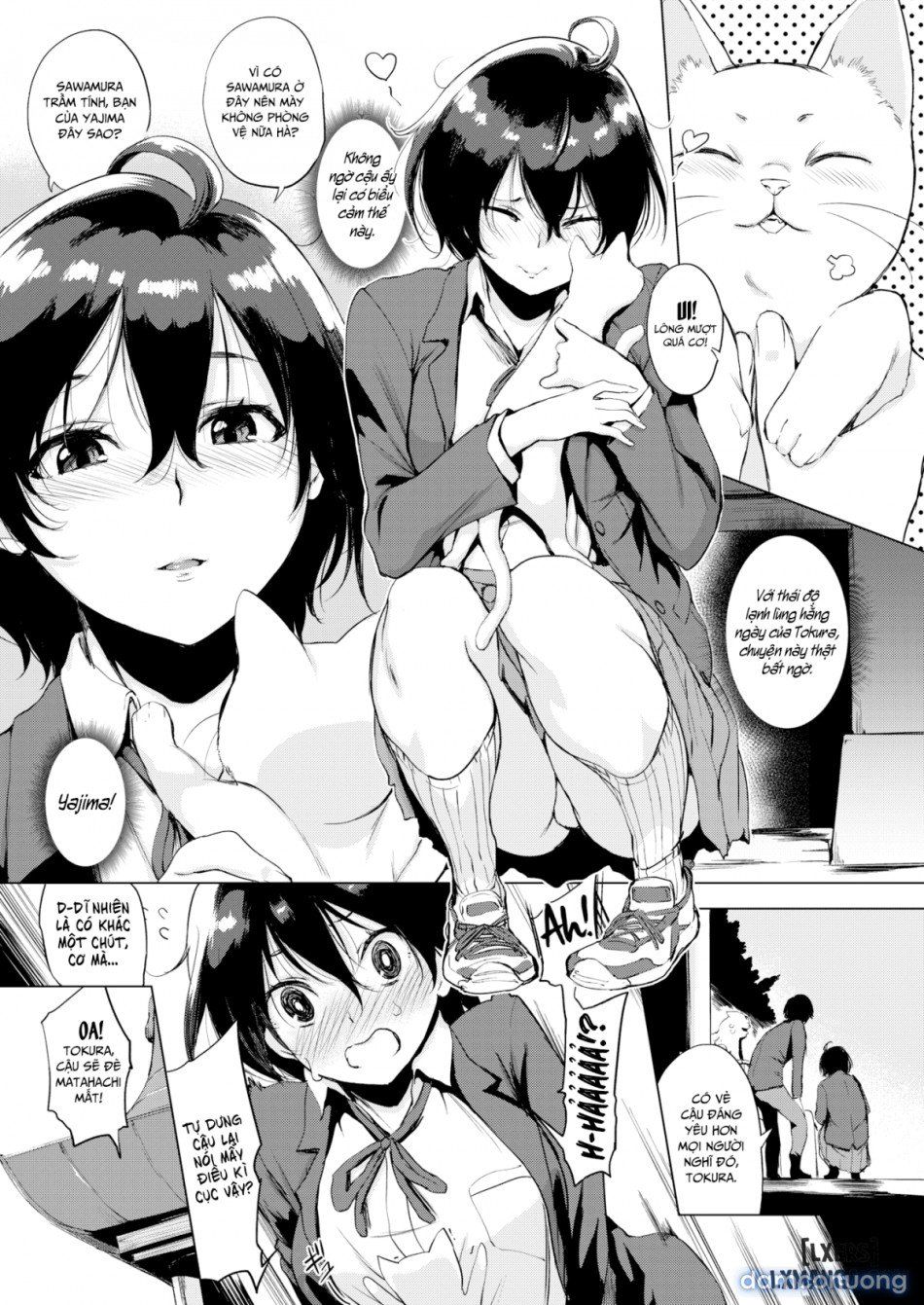 đọc truyện Tokura-san Loves Cat Chương 1 ảnh 5 tại Thiên Thai Truyện