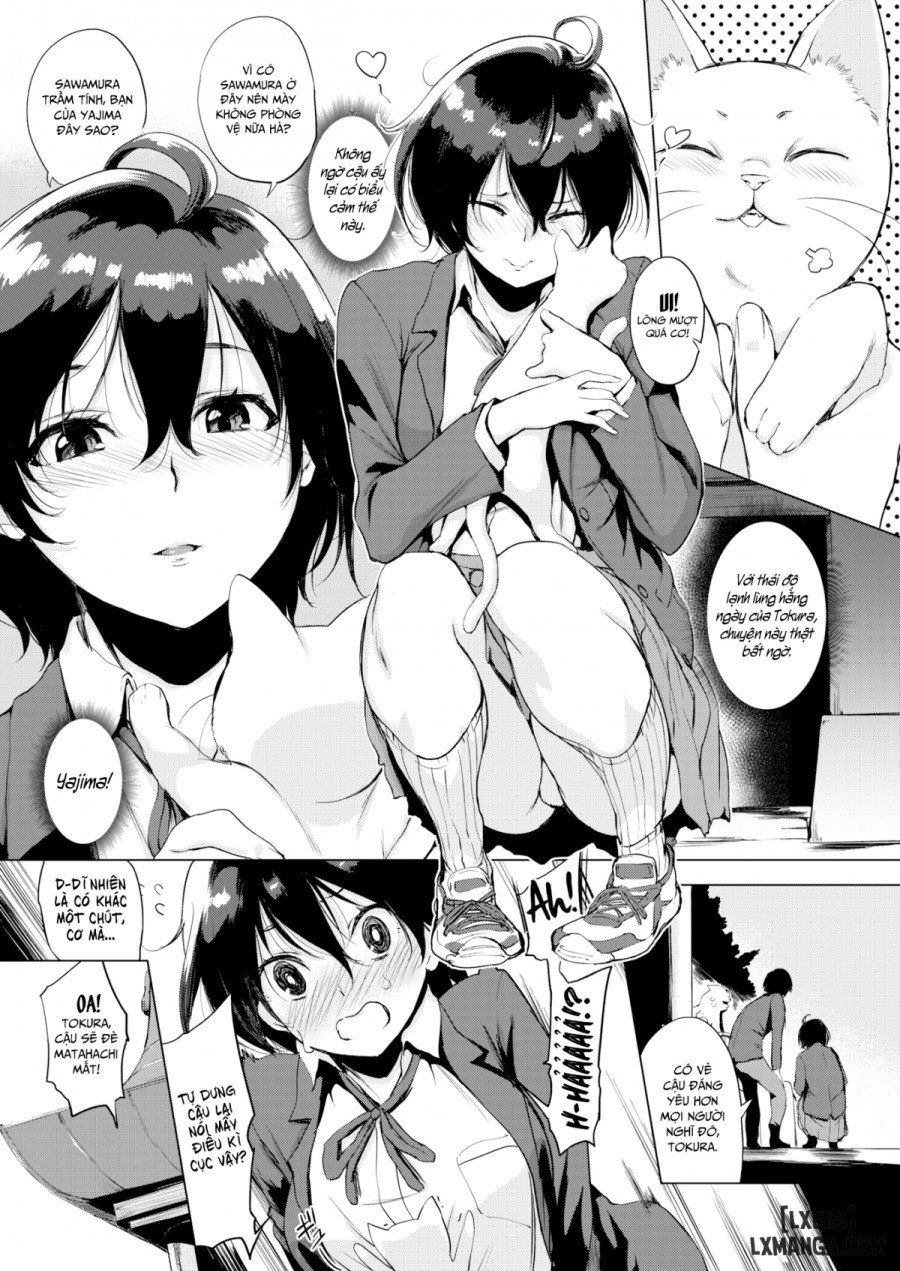 đọc truyện Tokura-san Loves Cat Oneshot ảnh 5 tại Thiên Thai Truyện