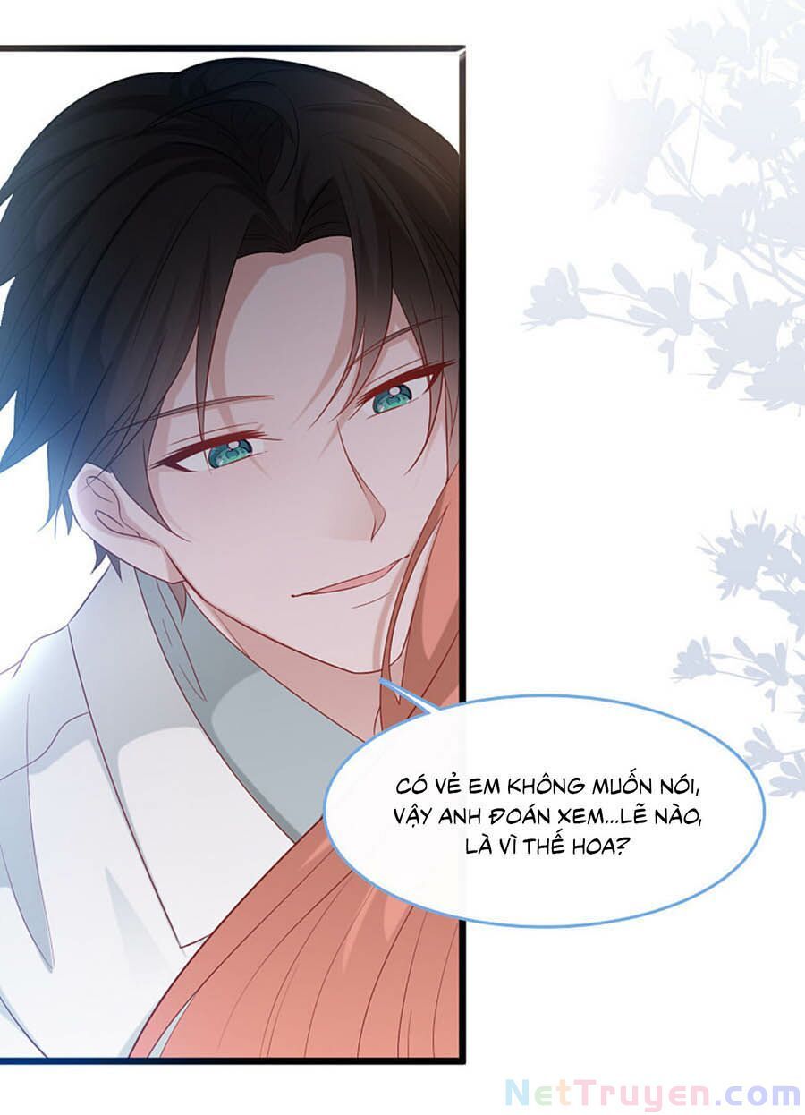 đọc truyện Tổng Tài Daddy Đuổi Tới Nơi Rồi Chương 106 ảnh 21 tại Thiên Thai Truyện