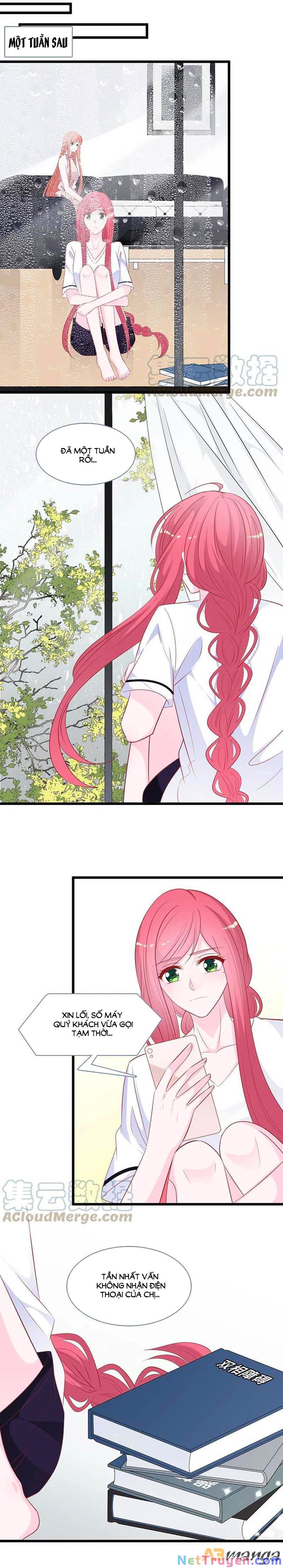 đọc truyện Tổng Tài Daddy Đuổi Tới Nơi Rồi Chương 140 ảnh 8 tại Thiên Thai Truyện