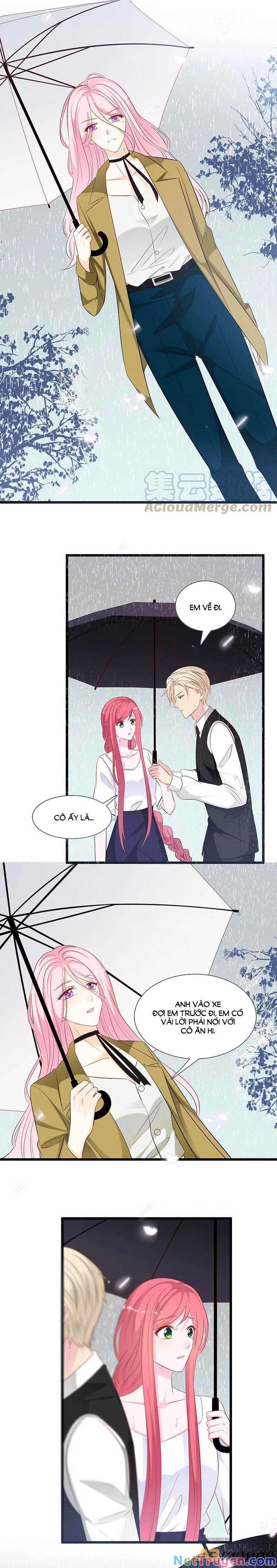 đọc truyện Tổng Tài Daddy Đuổi Tới Nơi Rồi Chương 141 ảnh 8 tại Thiên Thai Truyện