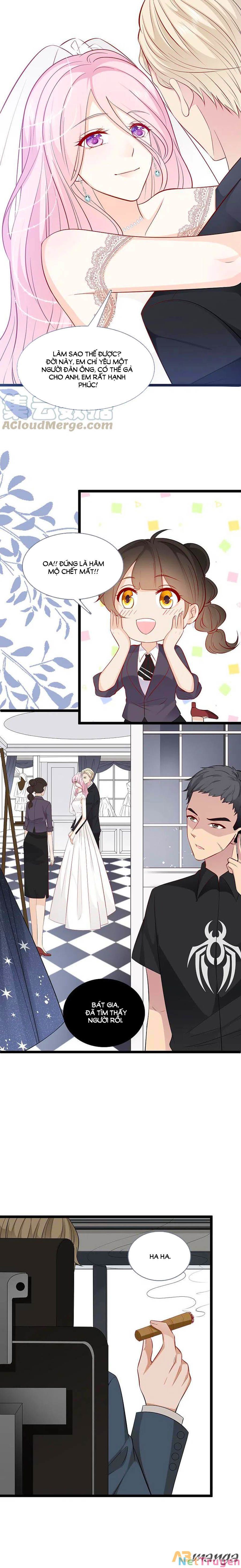 đọc truyện Tổng Tài Daddy Đuổi Tới Nơi Rồi Chương 146 ảnh 5 tại Thiên Thai Truyện