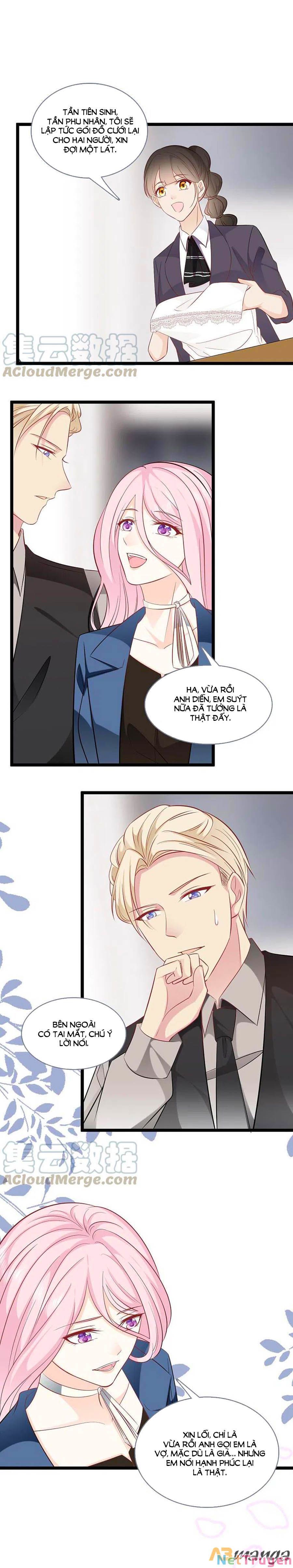 đọc truyện Tổng Tài Daddy Đuổi Tới Nơi Rồi Chương 146 ảnh 6 tại Thiên Thai Truyện