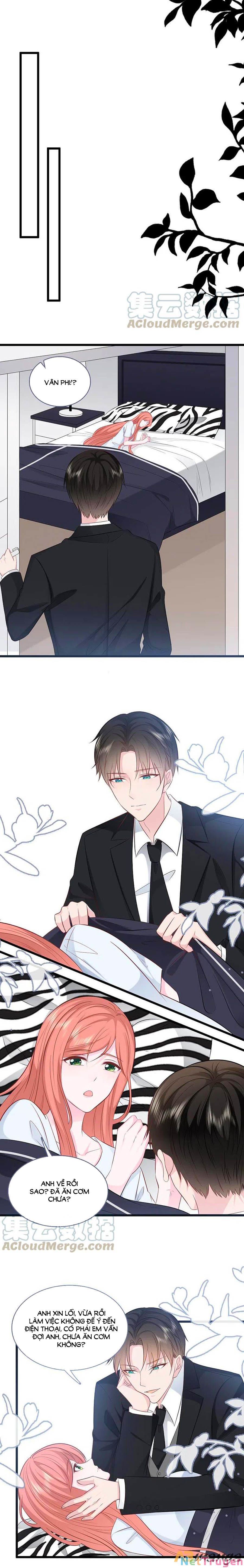 đọc truyện Tổng Tài Daddy Đuổi Tới Nơi Rồi Chương 148 ảnh 8 tại Thiên Thai Truyện