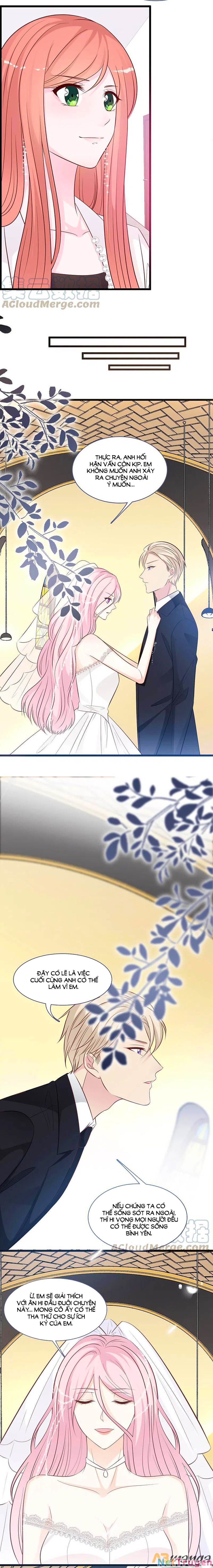 đọc truyện Tổng Tài Daddy Đuổi Tới Nơi Rồi Chương 150 ảnh 7 tại Thiên Thai Truyện