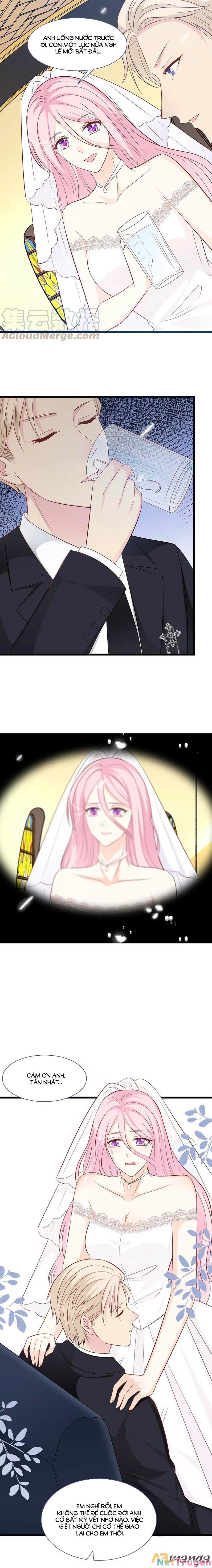 đọc truyện Tổng Tài Daddy Đuổi Tới Nơi Rồi Chương 150 ảnh 8 tại Thiên Thai Truyện