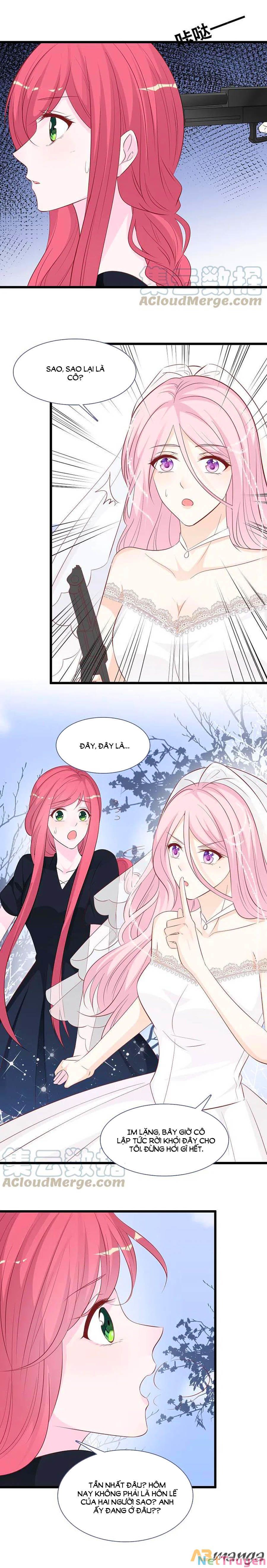 đọc truyện Tổng Tài Daddy Đuổi Tới Nơi Rồi Chương 150 ảnh 10 tại Thiên Thai Truyện