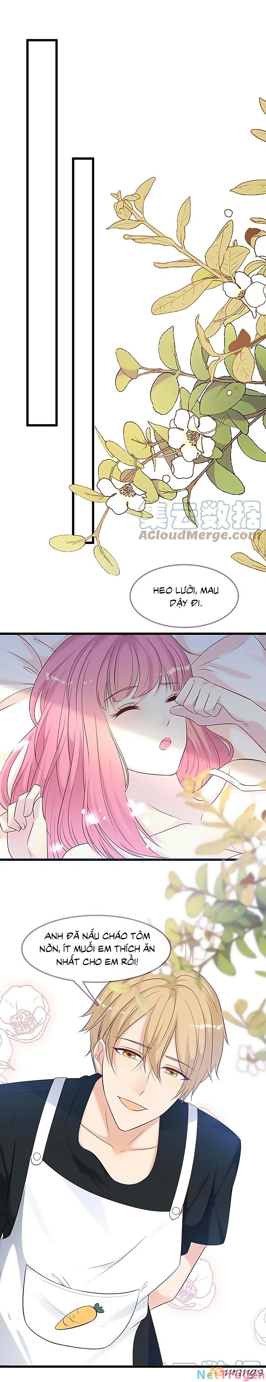 đọc truyện Tổng Tài Daddy Đuổi Tới Nơi Rồi Chương 163 ảnh 3 tại Thiên Thai Truyện