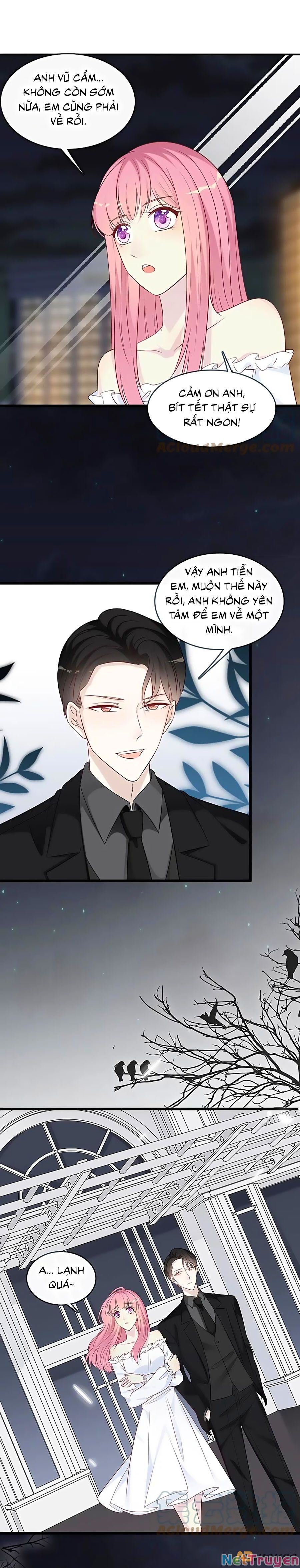 đọc truyện Tổng Tài Daddy Đuổi Tới Nơi Rồi Chương 165 ảnh 3 tại Thiên Thai Truyện