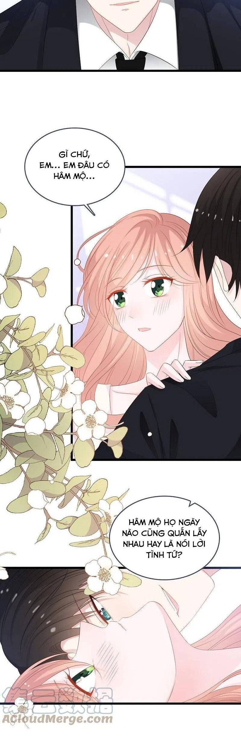 đọc truyện Tổng Tài Daddy Đuổi Tới Nơi Rồi Chương 186 ảnh 10 tại Thiên Thai Truyện