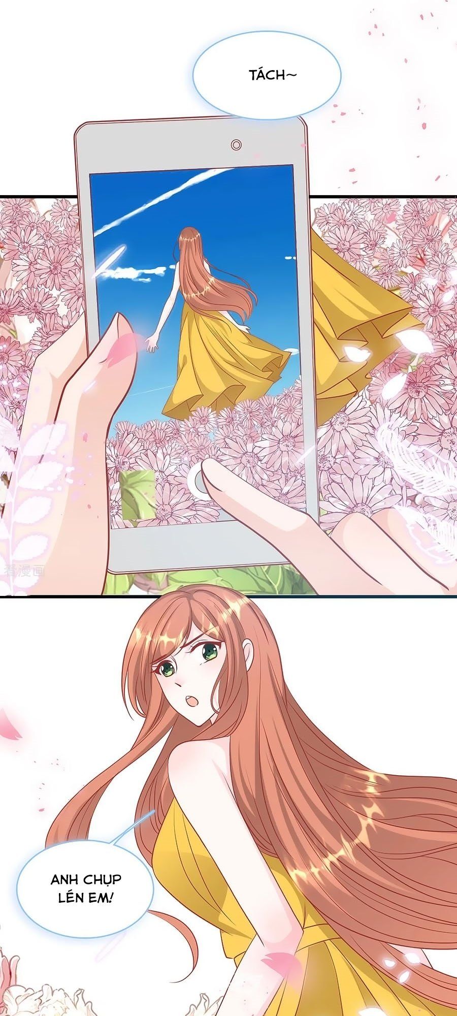 đọc truyện Tổng Tài Daddy Đuổi Tới Nơi Rồi Chương 62 ảnh 24 tại Thiên Thai Truyện